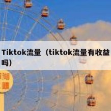 Tiktok流量（tiktok流量有收益吗）