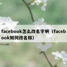 facebook怎么改名字啊（facebook如何改名称）