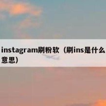 instagram刷粉软（刷ins是什么意思）