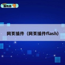网页插件（网页插件flash）