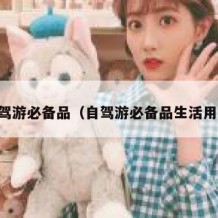 自驾游必备品（自驾游必备品生活用品）