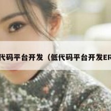 低代码平台开发（低代码平台开发ERP）