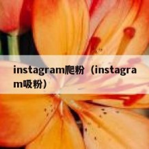 instagram爬粉（instagram吸粉）