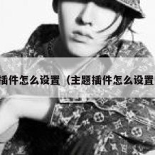 主题插件怎么设置（主题插件怎么设置图片）