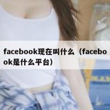 facebook现在叫什么（facebook是什么平台）