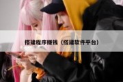 搭建程序赚钱（搭建软件平台）
