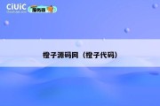 橙子源码网（橙子代码）