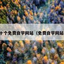 国内十个免费自学网站（免费自学网站推荐）