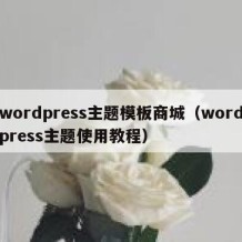 wordpress主题模板商城（wordpress主题使用教程）
