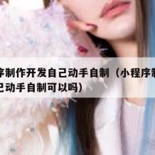 小程序制作开发自己动手自制（小程序制作开发自己动手自制可以吗）