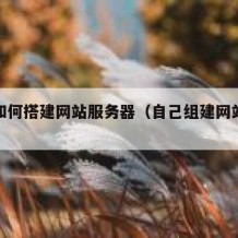 自己如何搭建网站服务器（自己组建网站服务器）