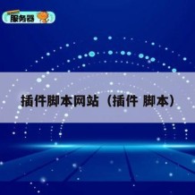 插件脚本网站（插件 脚本）