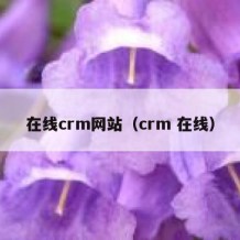 在线crm网站（crm 在线）