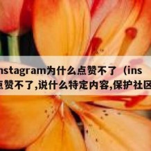 instagram为什么点赞不了（ins点赞不了,说什么特定内容,保护社区）