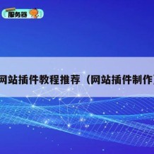 网站插件教程推荐（网站插件制作）