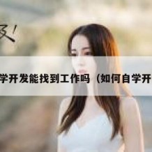 自学开发能找到工作吗（如何自学开发）