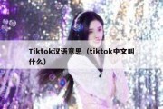 Tiktok汉语意思（tiktok中文叫什么）