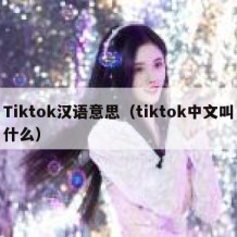 Tiktok汉语意思（tiktok中文叫什么）