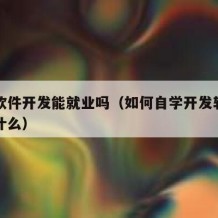 自学软件开发能就业吗（如何自学开发软件需要学什么）