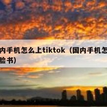 国内手机怎么上tiktok（国内手机怎么上脸书）