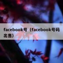 facebook号（facebook号码出售）