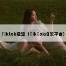 Tiktok投流（TikTok投流平台）