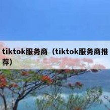 tiktok服务商（tiktok服务商推荐）