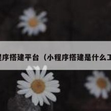 小程序搭建平台（小程序搭建是什么工作）