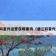 宝坻抖音代运营在哪里找（通辽抖音代运营）