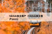 tiktok多少用户（tiktok多少用户2023）