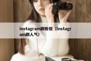 instagram刷粉软（instagram刷人气）