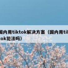 国内用tiktok解决方案（国内用tiktok犯法吗）