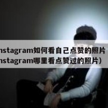 instagram如何看自己点赞的照片（instagram哪里看点赞过的照片）