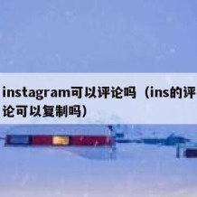 instagram可以评论吗（ins的评论可以复制吗）