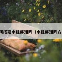 如何搭建小程序矩阵（小程序矩阵方案）