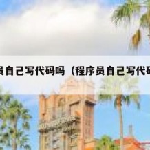 程序员自己写代码吗（程序员自己写代码吗怎么写）