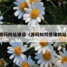 源码网站建设（源码如何搭建网站）