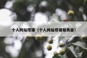 个人网站搭建（个人网站搭建服务器）