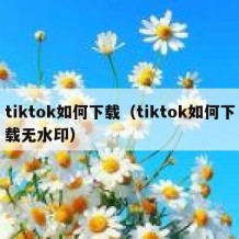 tiktok如何下载（tiktok如何下载无水印）