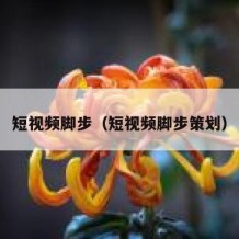 短视频脚步（短视频脚步策划）