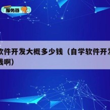 自学软件开发大概多少钱（自学软件开发大概多少钱啊）