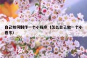 自己如何制作一个小程序（怎么自己做一个小程序）