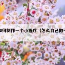 自己如何制作一个小程序（怎么自己做一个小程序）