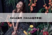 tiktok插件（tiktok插件苹果）