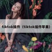 tiktok插件（tiktok插件苹果）