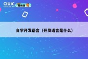 自学开发语言（开发语言是什么）