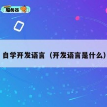 自学开发语言（开发语言是什么）