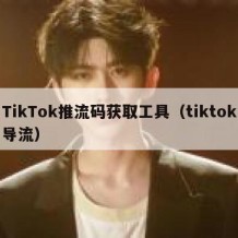 TikTok推流码获取工具（tiktok导流）