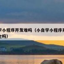 小自学小程序开发难吗（小自学小程序开发难吗安全吗）