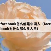 facebook怎么都是中国人（facebook为什么那么多人用）